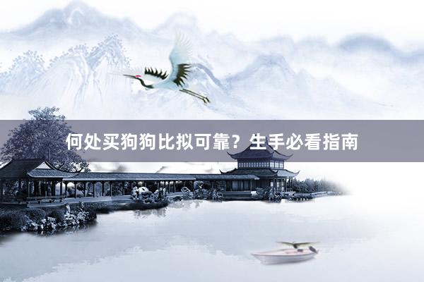 何处买狗狗比拟可靠？生手必看指南